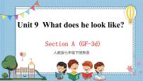 初中英语人教新目标 (Go for it) 版七年级下册Unit 9 What does he look like?Section A优秀ppt课件