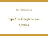 仁愛(ài)版八年級(jí)英語(yǔ)下冊(cè)課件 Unit 5 Topic 2 Section A