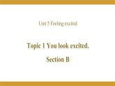 Unit 5 Topic 1 Section B课件2021-2022学年仁爱版八年级英语下册