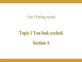 Unit 5 Topic 1 Section A课件2021-2022学年仁爱版八年级英语下册