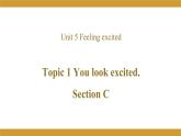 Unit 5 Topic 1 Section C 课件 2021-2022学年仁爱版英语八年级下册