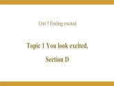 Unit 5 Topic 1 Section D课件2021-2022学年仁爱版八年级英语下册