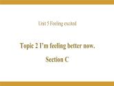 Unit 5 Topic 2 Section C课件2021-2022学年仁爱版八年级英语下册