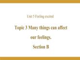 Unit 5 Topic 3 Section B课件2021-2022学年仁爱版八年级英语下册