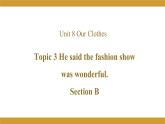 Unit 8 Topic 3 Section B课件  2022-2023学年仁爱版英语八年级下册