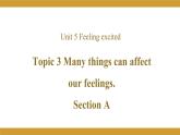 Unit 5 Topic 3 Section A 课件 2022-2023学年仁爱版英语八年级下册