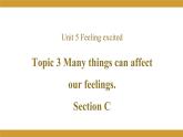 Unit 5 Topic 3 Section C  课件2021-2022学年仁爱版八年级英语下册