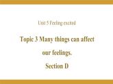 Unit 5 Topic 3 Section D  课件2021-2022学年仁爱版八年级英语下册