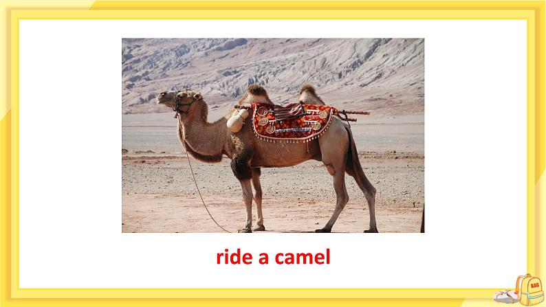 Lesson 5 Another Stop along the Silk Road（课件PPT+教案+练习）07