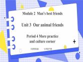 Unit 3 Our animal friends Period 4 More practice & culture corner课件+教案+导学案+同步练习