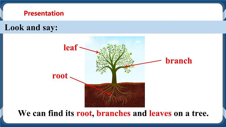 Unit 4 Save the trees Period 1 Reading I课件+教案+导学案+素材04