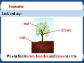 Unit 4 Save the trees Period 1 Reading I课件+教案+导学案+素材