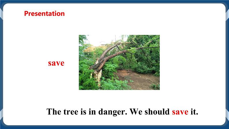 Unit 4 Save the trees Period 1 Reading I课件+教案+导学案+素材07