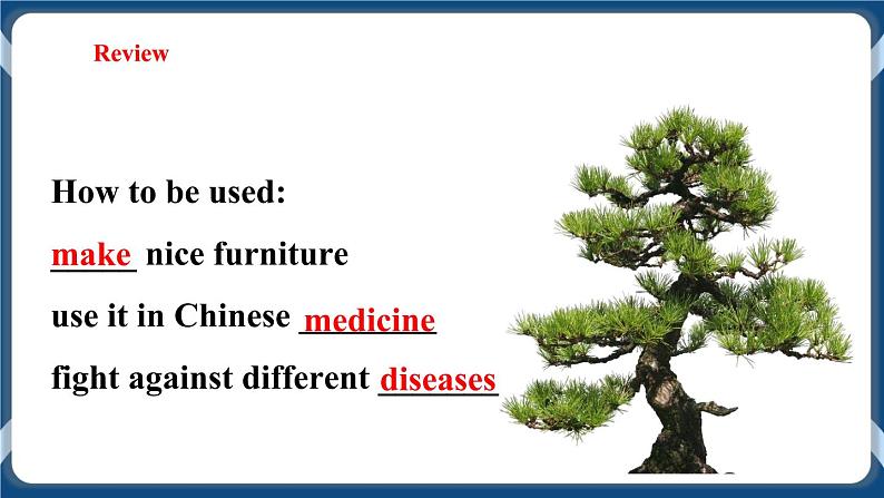 Unit 4 Save the trees Period 3 Grammar课件+教案+导学案+同步练习03