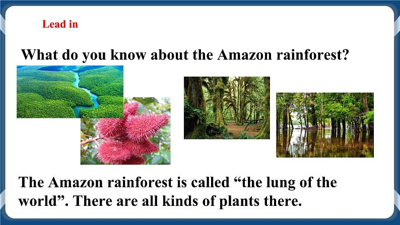 Unit 4 Save the trees Period 4 More practice & culture corner课件+教案+导学案+同步练习03