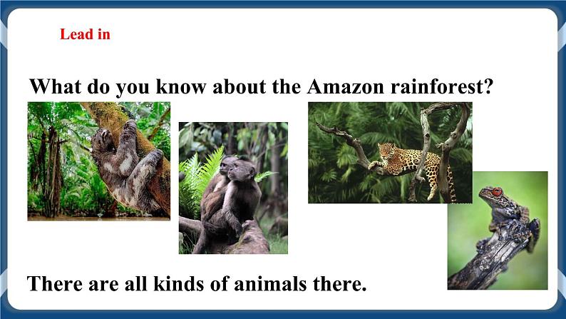 Unit 4 Save the trees Period 4 More practice & culture corner课件+教案+导学案+同步练习04