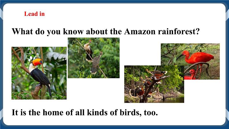 Unit 4 Save the trees Period 4 More practice & culture corner课件+教案+导学案+同步练习05