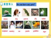 Unit 8 Pets Reading（课件PPT+教案+练习）