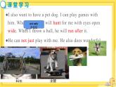 Unit 8 Pets Reading（课件PPT+教案+练习）