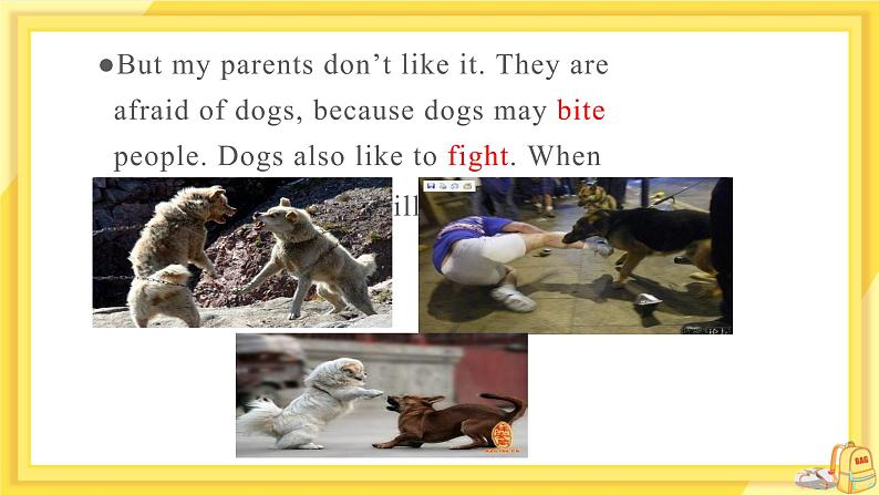 Unit 8 Pets Reading（课件PPT+教案+练习）05