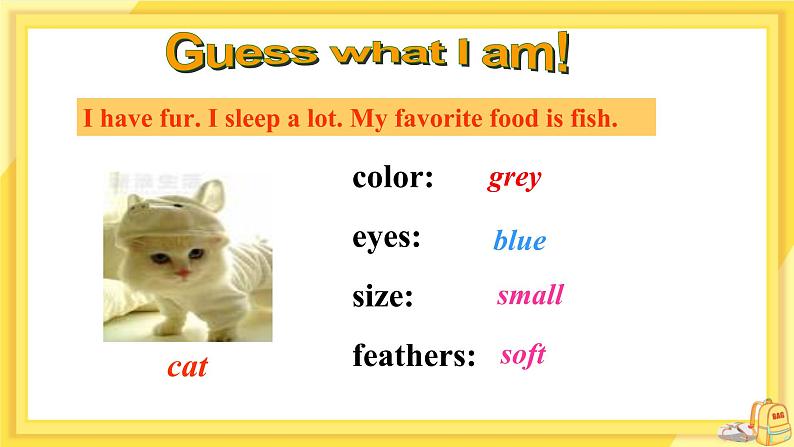 Unit 8 Pets Task（课件PPT+教案+练习）04