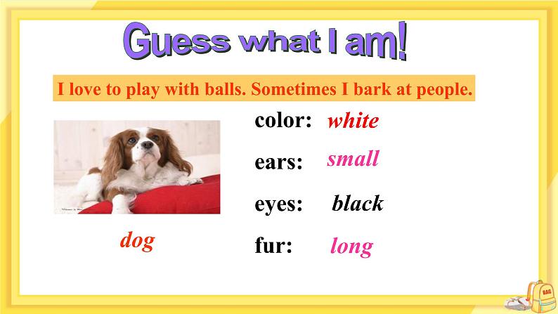 Unit 8 Pets Task（课件PPT+教案+练习）05