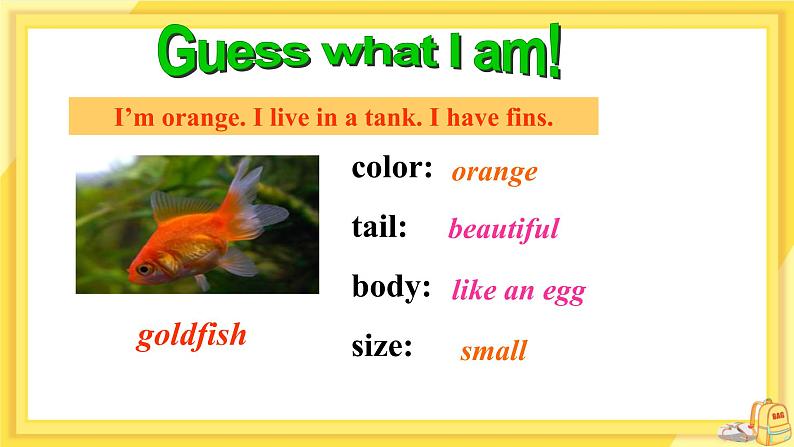 Unit 8 Pets Task（课件PPT+教案+练习）06