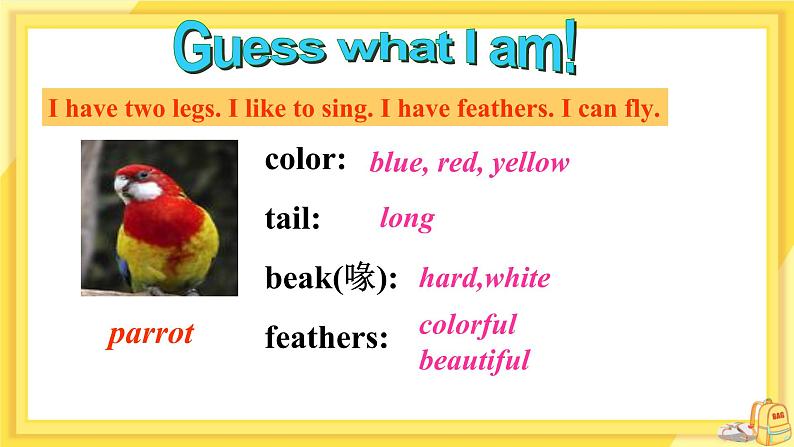 Unit 8 Pets Task（课件PPT+教案+练习）07