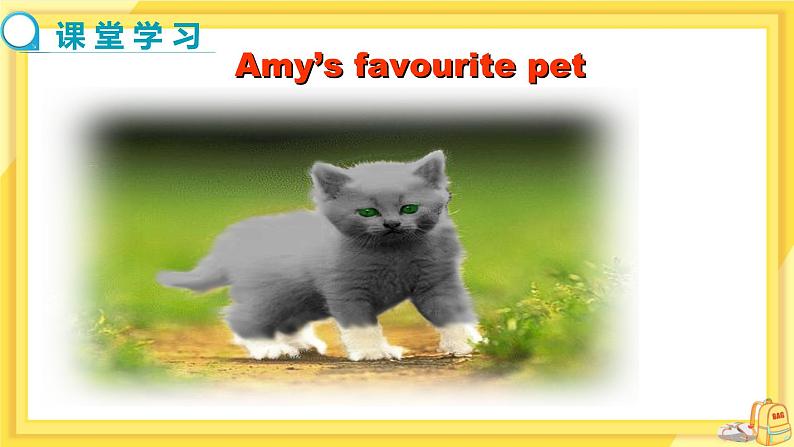 Unit 8 Pets Task（课件PPT+教案+练习）08