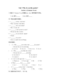 初中英语人教新目标 (Go for it) 版七年级下册Section A精练