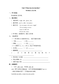 英语Unit 9 What does he look like?Section A学案