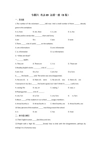 2023年中考英语一轮复习专项练习：专题六 考点09 主谓一致（B卷）