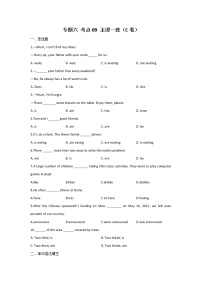 2023年中考英语一轮复习专项练习：专题六 考点09 主谓一致（C卷）