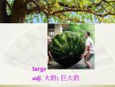lesson 7 Planting Trees 课件+素材