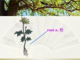 lesson 7 Planting Trees 课件+素材