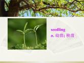 lesson 7 Planting Trees 课件+素材