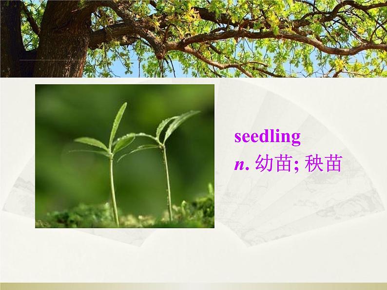 lesson 7 Planting Trees 课件+素材05