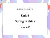 Unit 6 Seasons lesson 36  Spring in China 课件＋音频