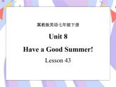 Unit 8 Summer Holiday Is Coming! Lesson 43 Have a Good Summer! 课件＋音视频