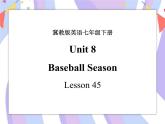 Unit 8 Summer Holiday Is Coming! Lesson 45 Baseball Season 课件＋音视频