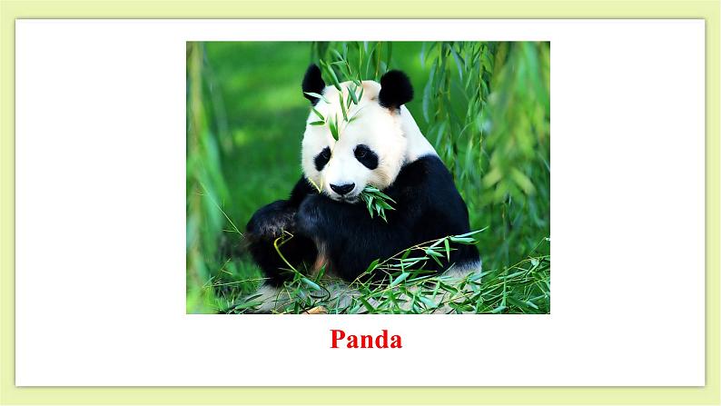 Unit 5 Save the endangered animals Period 5 Speaking & Writing 课件+导学案+教学设计07