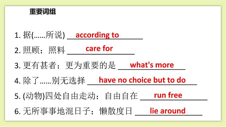 Unit 6 Pets Period 6 Revision 课件+导学案+单元测试卷05