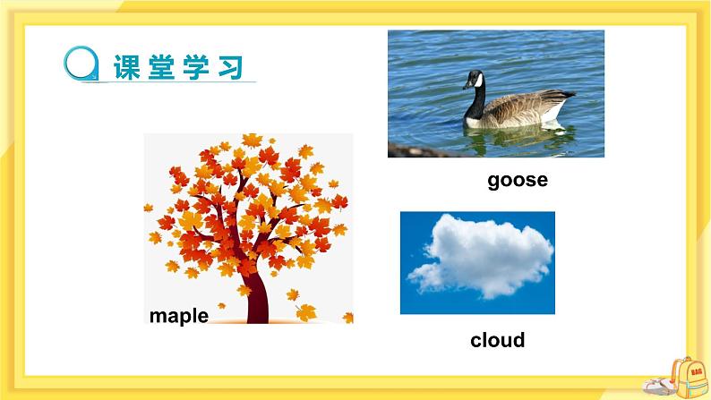 Lesson 34 Steven’s Report（课件PPT+教案+练习）04