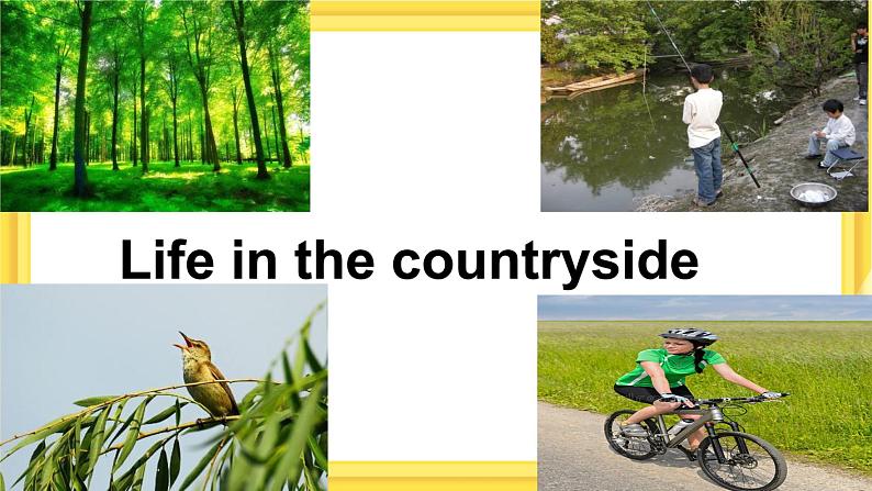 Lesson 48 Li Ming’s Summer Holiday（课件PPT+教案+练习）05