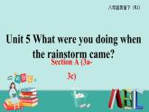 八英下人教 Unit5 SectionA（3a-3c） PPT课件