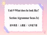 Unit 9 What does he look like？Section A（课件+音视频）（送教案练习）