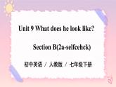 Unit 9 What does he look like？Section B（课件+音视频）（送教案练习）