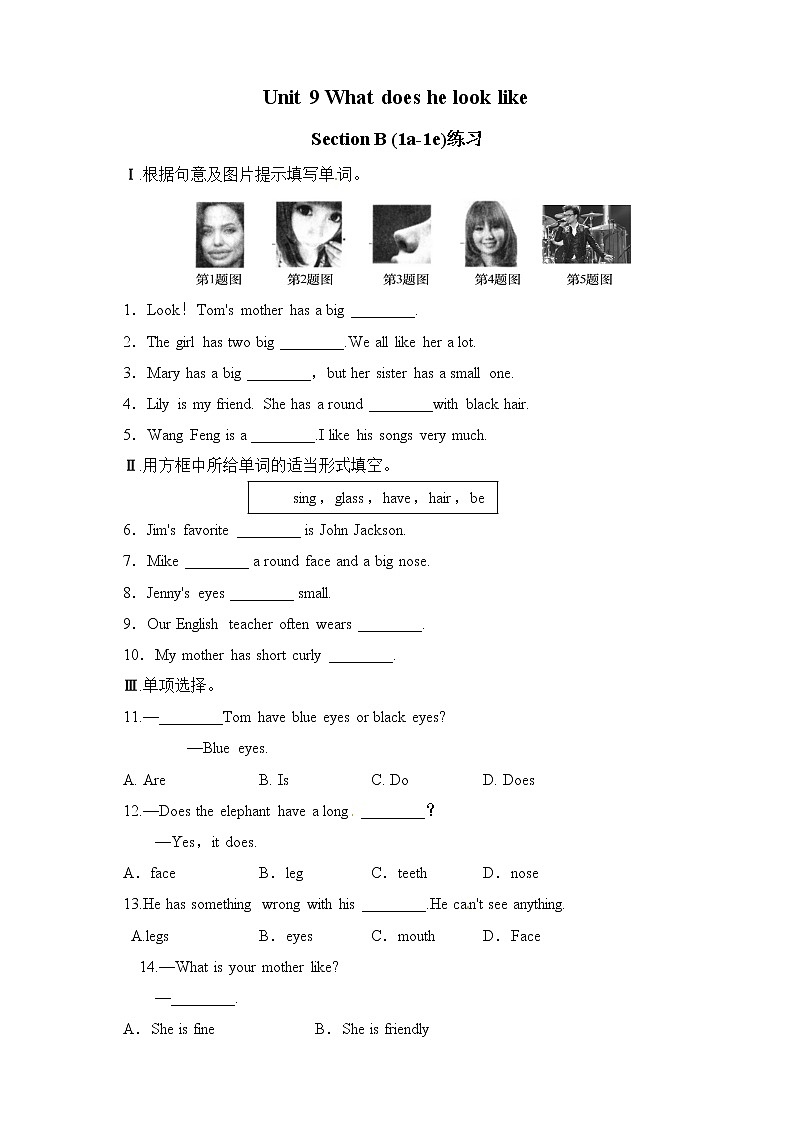 Unit 9 What does he look like？Section B（课件+音视频）（送教案练习）01