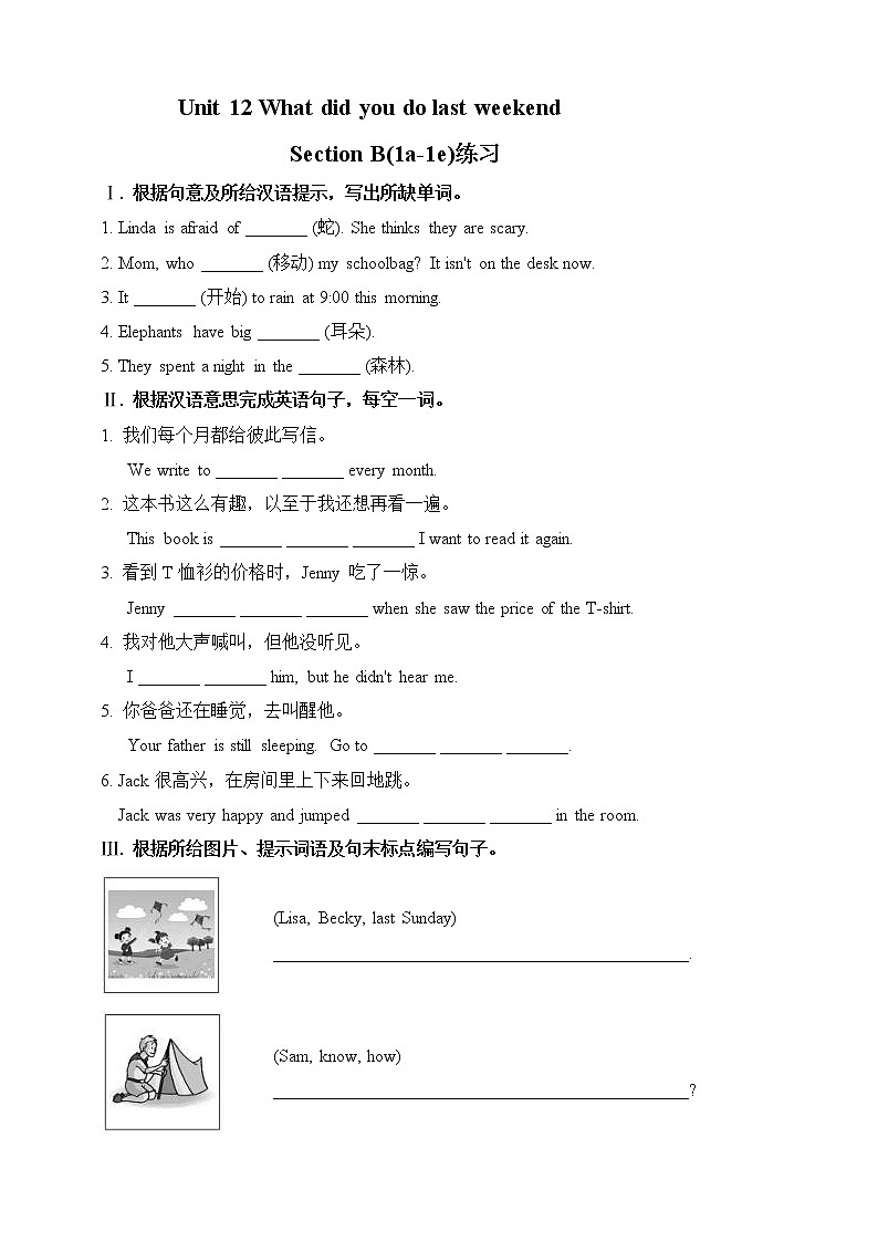 Unit 12 What did you do last weekend.SectionB(1a-1e)练习第1页