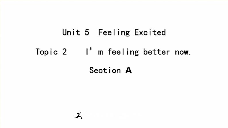 Unit  5  Topic 2 Section A 课件+教案+练习+音视频01